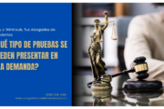 qué evidencia necesito para una demanda