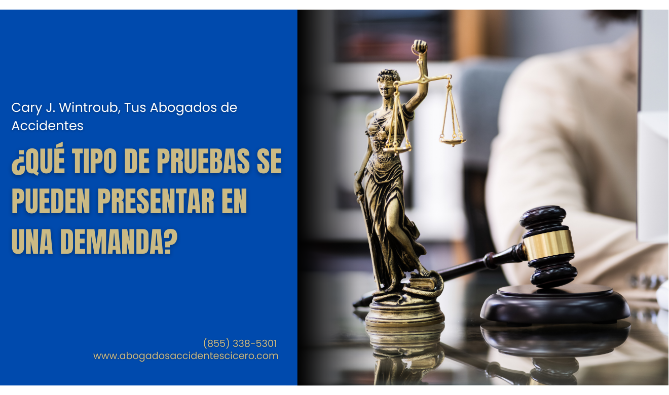 qué evidencia necesito para una demanda