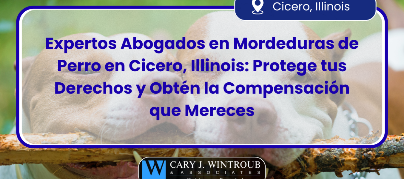 Expertos Abogados en Mordeduras de Perro en Cicero, Illinois: Protege tus Derechos y Obtén la Compensación que Mereces